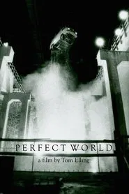 Perfect World movie poster