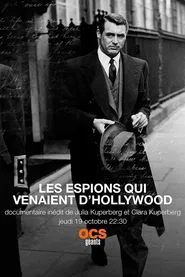 Hollywood Spies movie poster