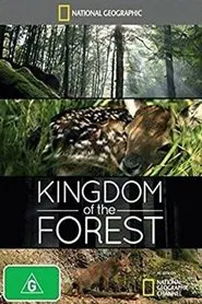 Kingdom of the Forest movie poster