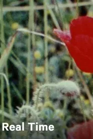 Real Time movie poster