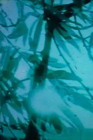 sisyphus movie poster