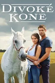 Poster da série Divoké kone