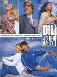 Dil Jo Bhi Kahey... movie poster
