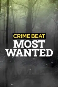 Poster da série Crime Beat: Most Wanted
