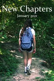 New Chapters movie poster