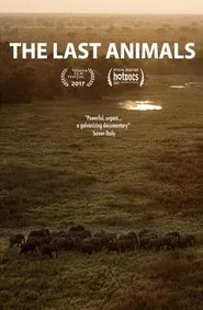 Poster do filme Os Últimos Animais do Planeta
