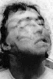 Twitch and Shout movie poster