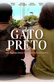 Poster do filme GATO PRETO