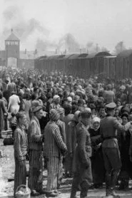 Dr Münch - läkare i Auschwitz movie poster