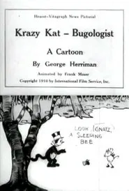 Poster do filme Krazy Kat, Bugologist