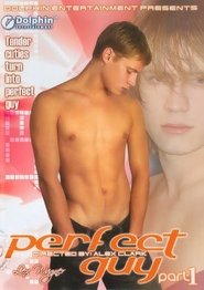 Perfect Guy Part 1 movie poster