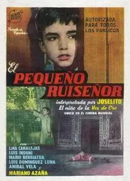 The Little Nightingale movie poster