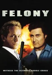 Felony movie poster