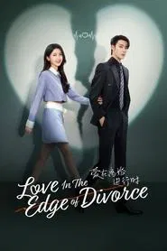 Love in the Edge of Divorce tv show poster