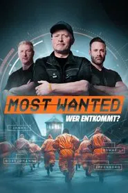Most Wanted tv show poster