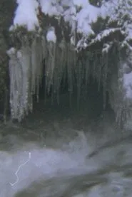 Valle De Lobos movie poster