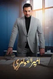 Amir El Awamery tv show poster