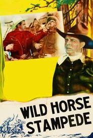 Wild Horse Stampede movie poster