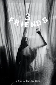 3 Friends movie poster