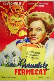 The Magic Seed movie poster