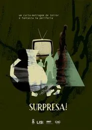 Poster do filme Surpresa!