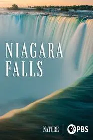 Niagara Falls movie poster