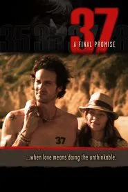 37 movie poster