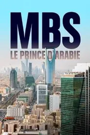 MBS: Prince With Two Faces movie poster
