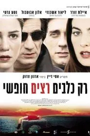 Only Dogs Run Free movie poster