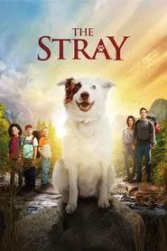 The Stray movie poster