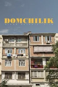 Domchilik movie poster