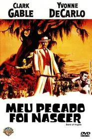 Poster do filme Meu Pecado Foi Nascer