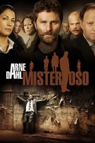 Arne Dahl tv show poster