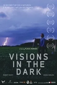 Poster do filme Visions in the Dark