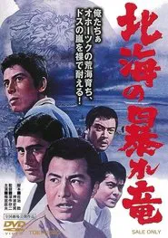 Rampaging Dragon of the North movie poster