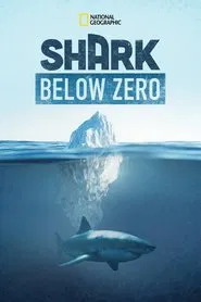 Shark Below Zero movie poster