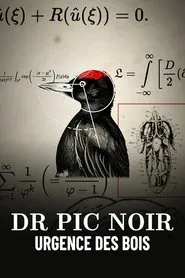 Dr Pic Noir, urgence des bois movie poster