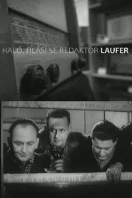 Haló, hlásí se redaktor Laufer! movie poster