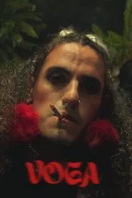 Poster do filme Voga