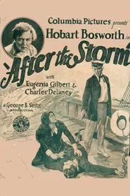 After the Storm movie poster