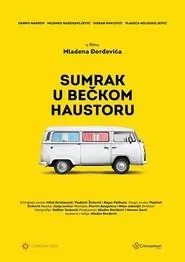 Poster do filme Vienna Hallways