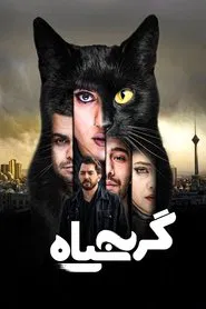 The Black Cat movie poster