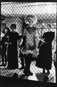 Poster do filme The Law of Remains