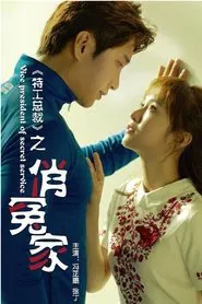 特工总裁俏冤家 movie poster