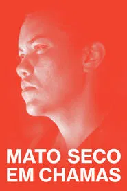Poster do filme Dry Ground Burning