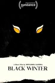 Poster do filme Black Winter