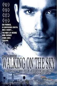 Walking on the Sky movie poster