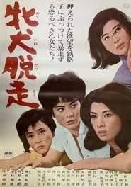 牝犬脱走 movie poster