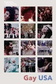 Gay USA movie poster