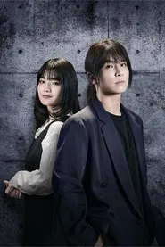 Poster da série DOCTOR PRICE